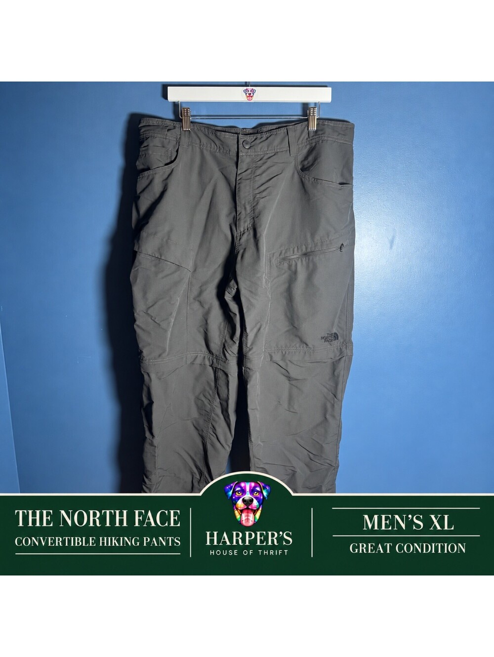 The North Face Men's Convertible Zip-Off Hiking Pants Gray Size XL Regular